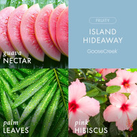 Island Hideaway Foaming Soap 270ml