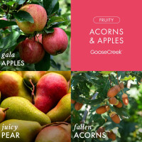 Acorns & Apples 3-Wick-Candle 411g