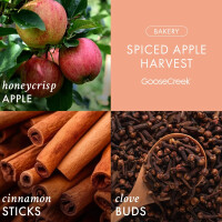 Spiced Apple Harvest 3-Docht-Kerze 411g