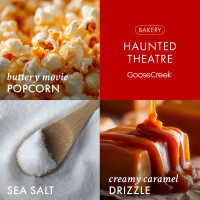 Haunted Theater 3-Wick-Candle 411g