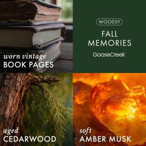 Fall Memories 3-Docht-Kerze 411g