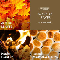 Bonfire Leaves 3-Docht-Kerze 411g