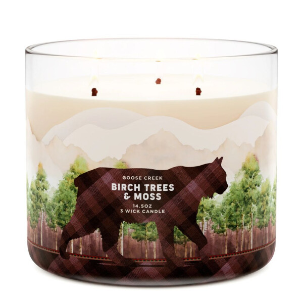 Birch Trees & Moss 3-Docht-Kerze 411g