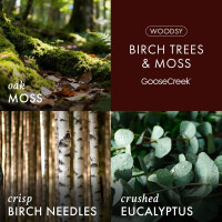 Birch Trees & Moss 3-Docht-Kerze 411g