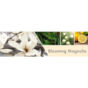 Blooming Magnolia 2-Docht-Kerze 680g