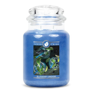 Blueberry Limeade 2-Wick-Candle 680g