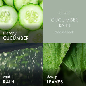 Cucumber Rain™ 2-Docht-Kerze 680g