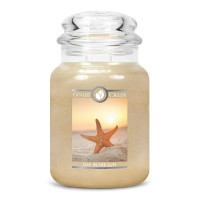 Day In The Sun 2-Wick-Candle 680g