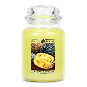 Exhilarating Pineapple 2-Wick-Candle 680g