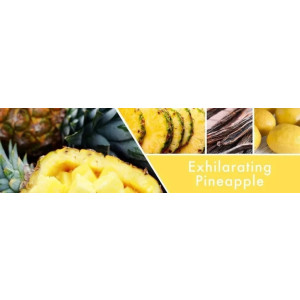 Exhilarating Pineapple 2-Wick-Candle 680g