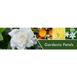Gardenia Petals 2-Docht-Kerze 680g