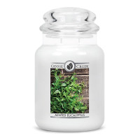 Minted Eucalyptus 2-Wick-Candle 680g