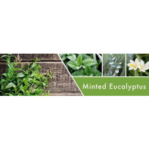 Minted Eucalyptus Wachsmelt 59g