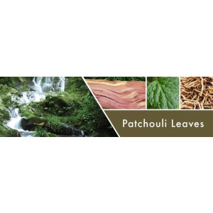 Patchouli Leaves 2-Wick-Candle 680g