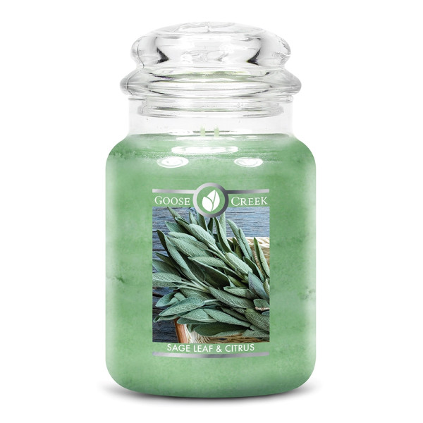 Sage Leaf & Citrus 2-Docht-Kerze 680g