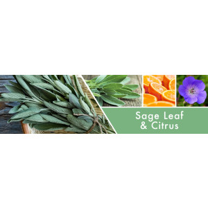 Sage Leaf & Citrus 2-Docht-Kerze 680g