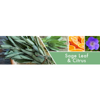 Sage Leaf & Citrus 2-Wick-Candle 680g