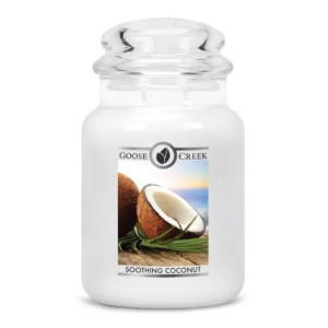 Soothing Coconut 2-Wick-Candle 680g