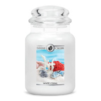 White Coral 2-Wick-Candle 680g