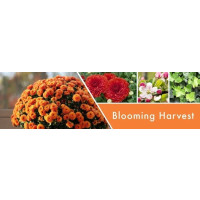Blooming Harvest 2-Docht-Kerze 680g