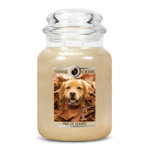 Pile of Leaves 2-Wick-Candle 680g