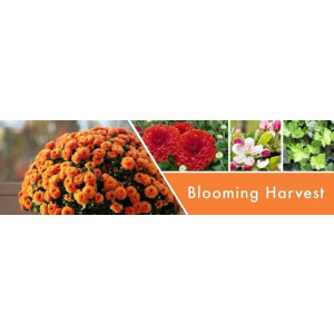 Blooming Harvest Wachsmelt 59g