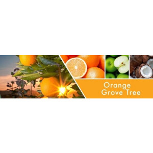 Orange Grove Tree 3-Wick-Candle 411g
