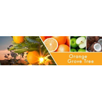 Orange Grove Tree 3-Docht-Kerze 411g