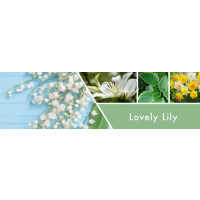 Lovely Lily 3-Docht-Kerze 411g