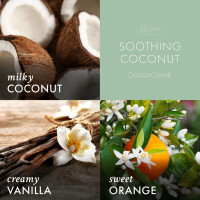 Soothing Coconut Schaumseife 270ml