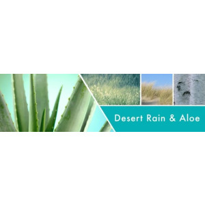 Desert Rain & Aloe 3-Docht-Kerze 411g