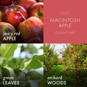 Macintosh Apple Schaumseife 270ml