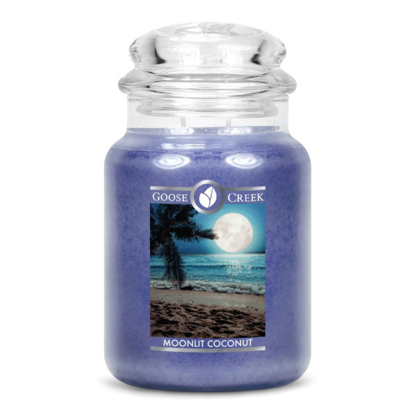 Moonlit Coconut 2-Wick-Candle 680g