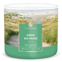 Green Seagrass 3-Docht-Kerze 411g