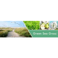 Green Seagrass 3-Wick-Candle 411g